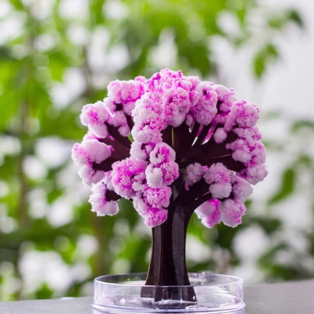 Magic Sakura von Mad Monkey