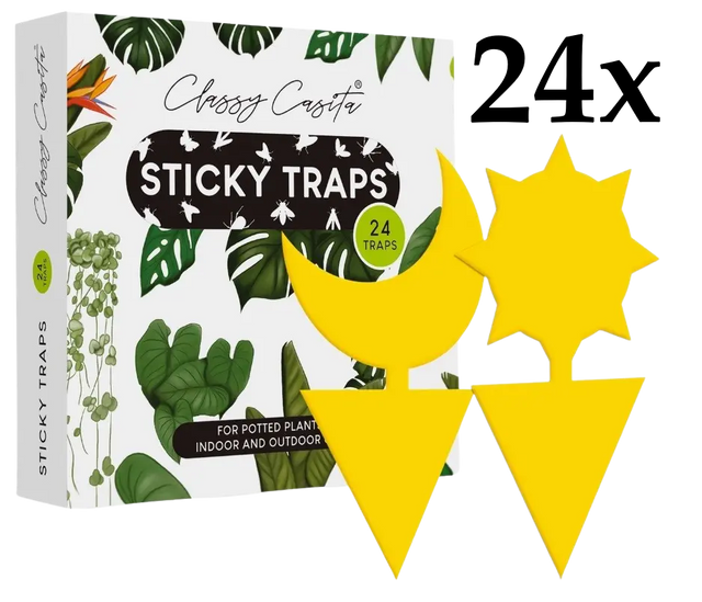 Pflanzen Insektenfalle Klebefallen Vorteilspaket 24 Stk. von Classy Casita