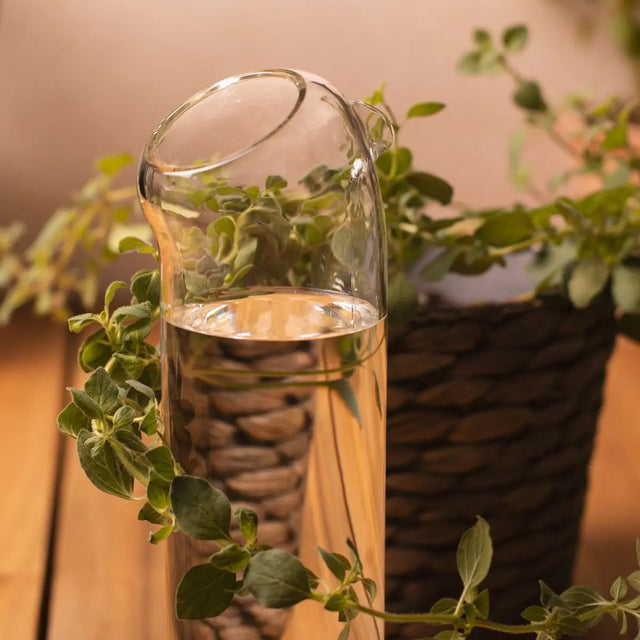 Plant Buddy Giesskanne von Thumbs Up