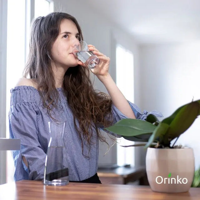 Binchotan Aktivkohle Wasserfilter Japan 3er-Pack von Orinko