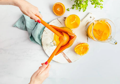 Fluicer Saftpresse von Dreamfarm