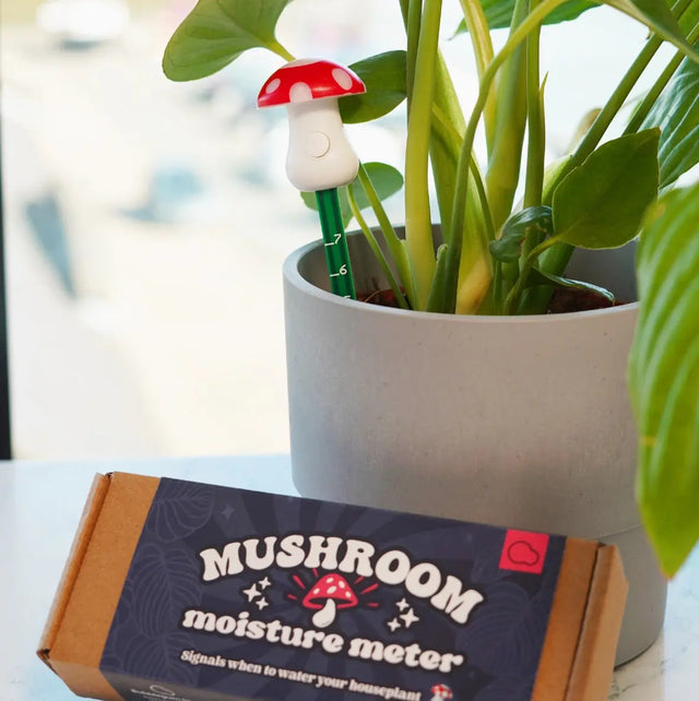 Feuchtigkeitsmesser Pilz von Bubblegum