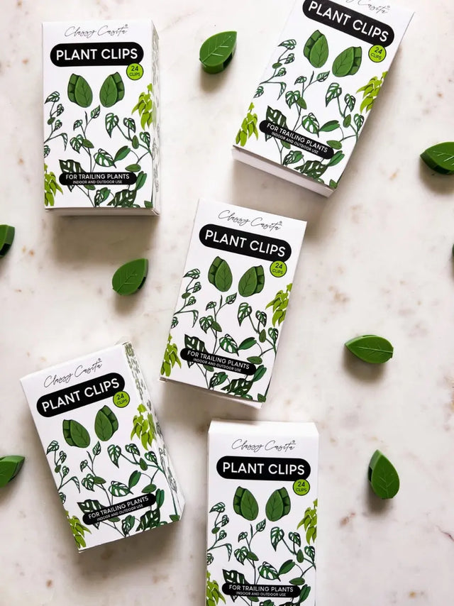 Halterung Clips Kletterpflanzen und Hängepflanzen Vorteilspaket 24 Stk. von Classy Casita