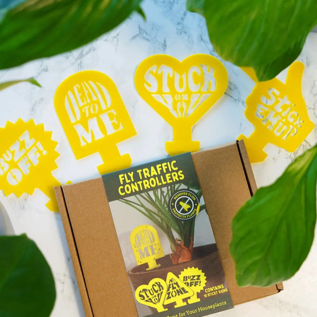 Pflanzen Flugverkehrskontrolle von Bubblegum