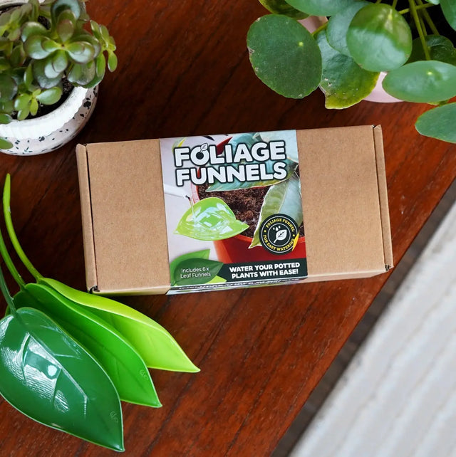 Pflanzen Giesshilfe Laubtrichter 6er Pack von Bubblegum