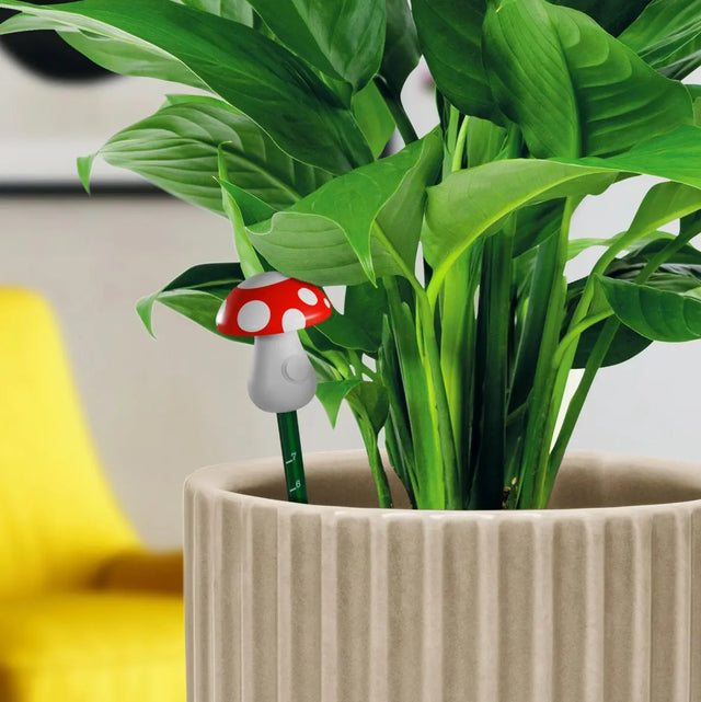 Feuchtigkeitsmesser Pilz von Bubblegum