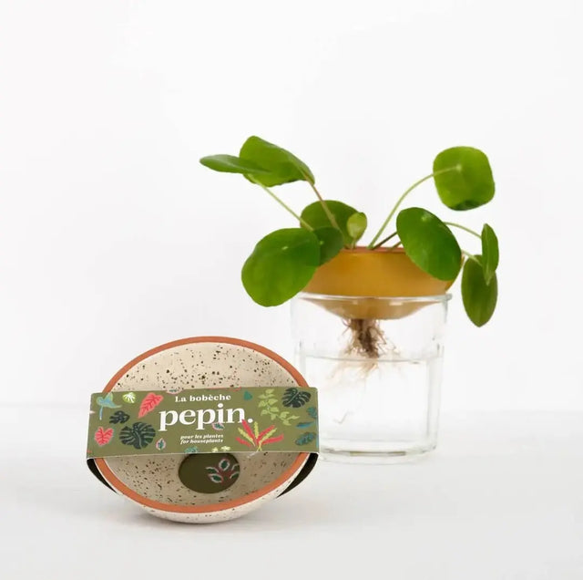 Keimschale Hydrokulturschale Weiss gesprenkelt von Pepin