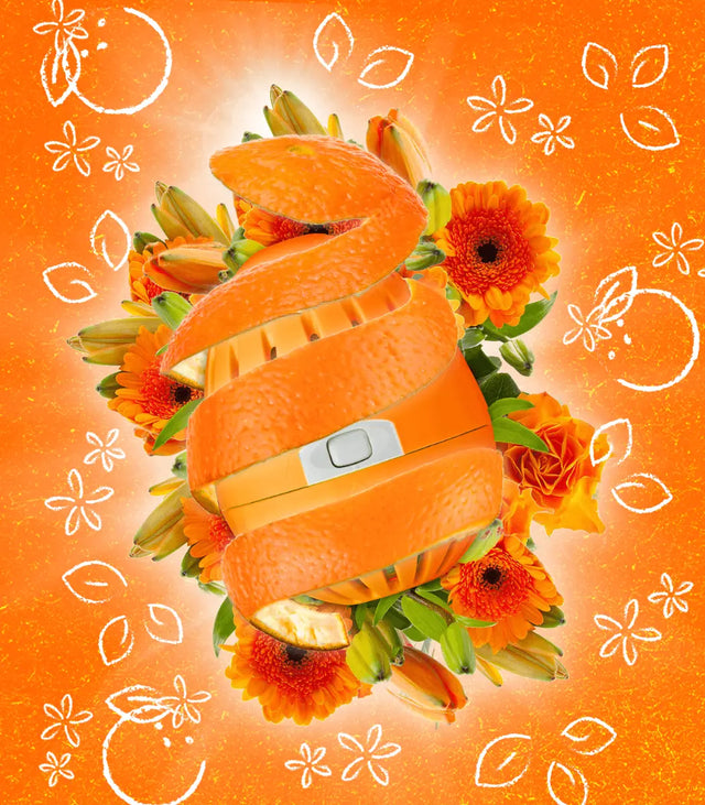 Waschei Orange Blossom von ecoegg