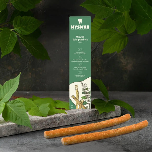 Miswak Zahnputzholz 2 Stück von MYSWAK