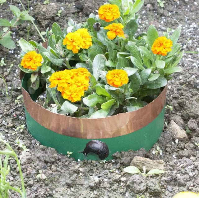 Tiervertreiber Kupferband und Kunststoffstreifen für Pflanzenkreise von Katcha