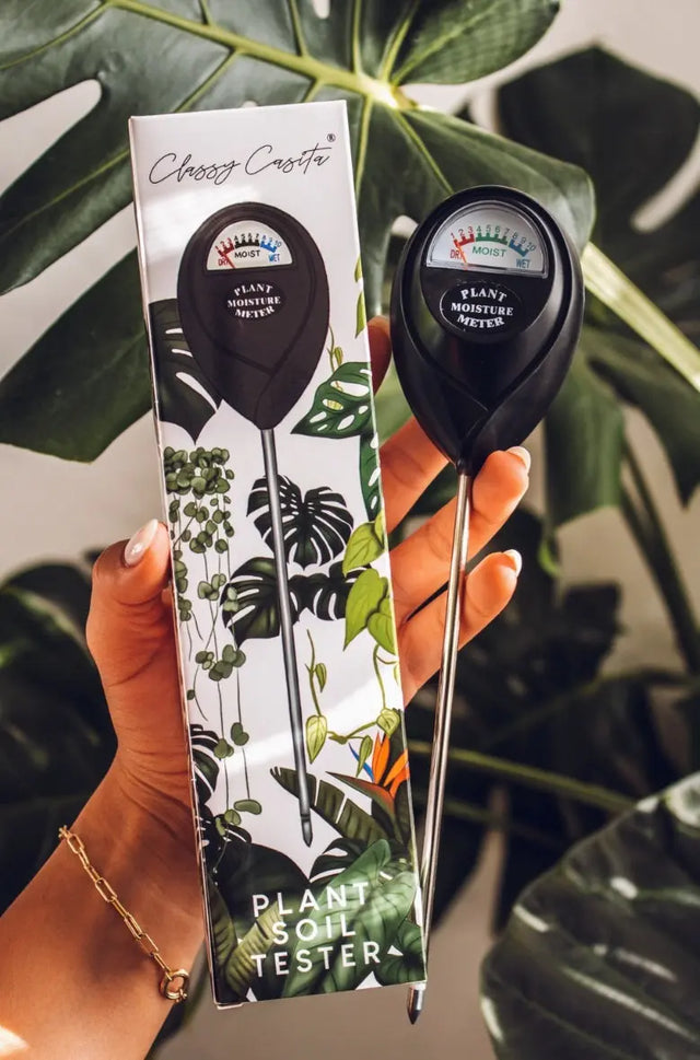 Feuchtigkeitsmesser Gut ablesbar von Classy Casita