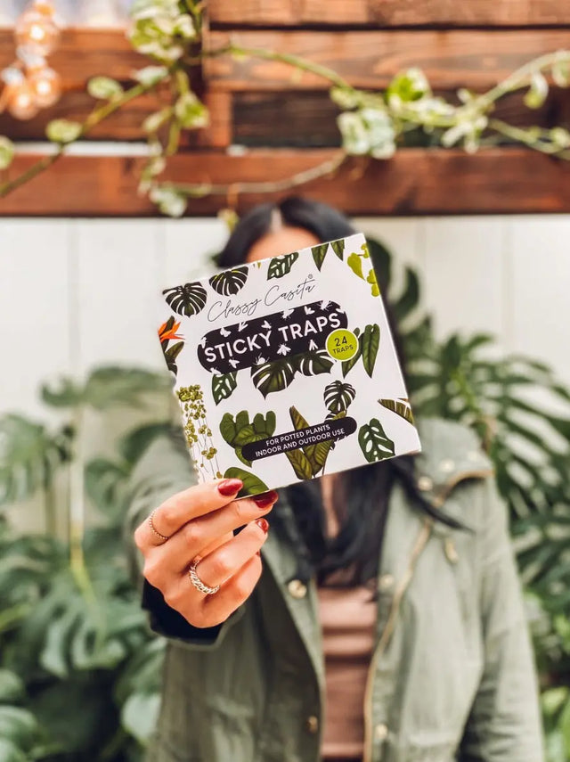 Pflanzen Insektenfalle Klebefallen Vorteilspaket 24 Stk. von Classy Casita