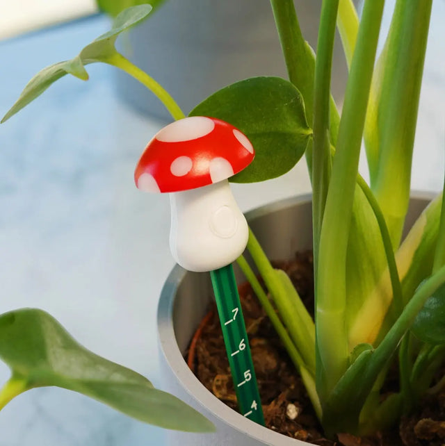 Feuchtigkeitsmesser Pilz von Bubblegum