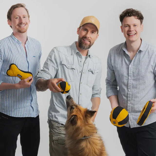 Aktivspielzeug Knochen S von Redoggo