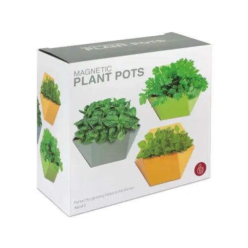 Pflanzentopf Magnetisch von Thumbs Up