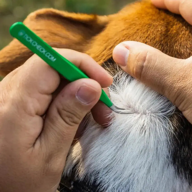 Premium Zeckenentferner Set Edelstahl mit Tasche für Mensch und Tier von Tickcheck