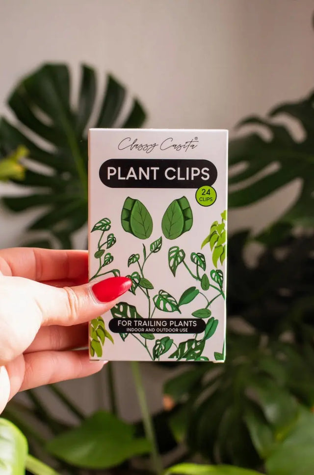 Halterung Clips Kletterpflanzen und Hängepflanzen Vorteilspaket 24 Stk. von Classy Casita