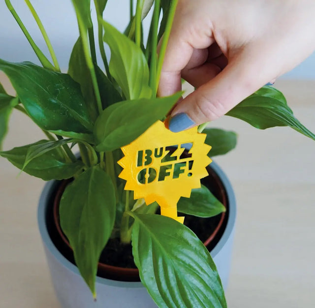 Pflanzen Flugverkehrskontrolle von Bubblegum