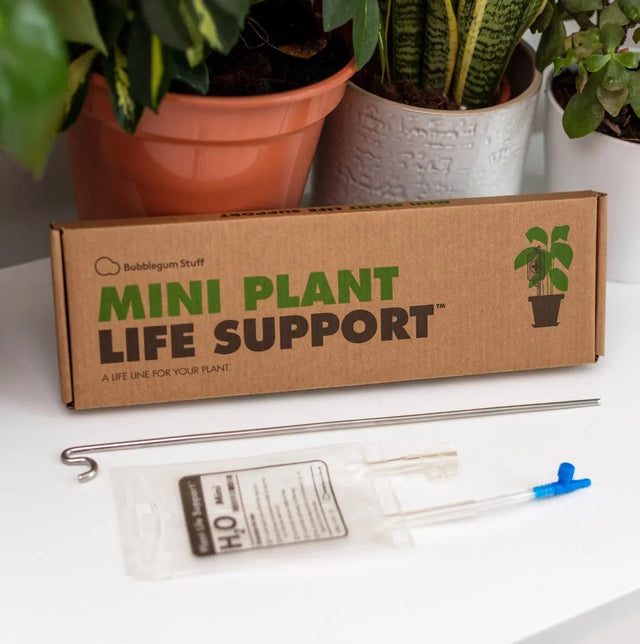Mini Pflanzenbewässerung Plant Life Support 100 ml von Bubblegum