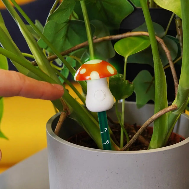 Feuchtigkeitsmesser Pilz von Bubblegum