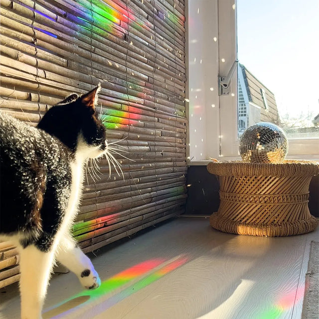 Sonnenfänger Fenstersticker You're made of magic von guteszeug.ch