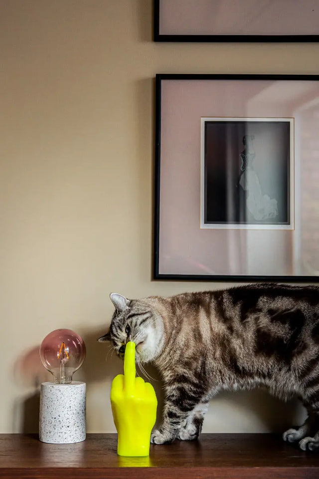 F*ck you neon Grün von Candle Hand