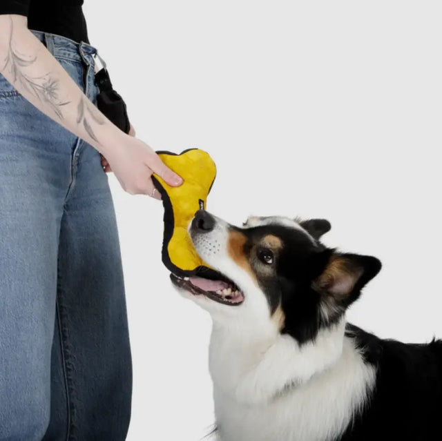 Aktivspielzeug Knochen L von Redoggo