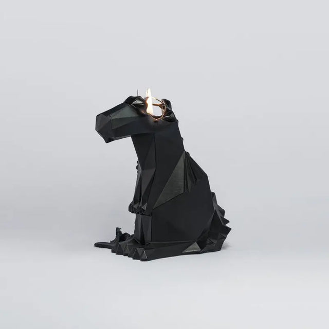 PyroPet Dreki Schwarz von 54Celsius