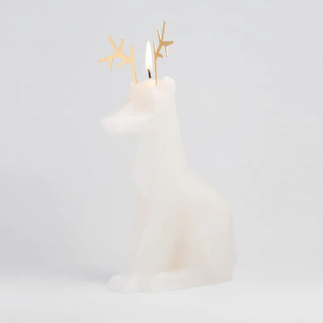 PyroPet Dyri Weiss von 54Celsius