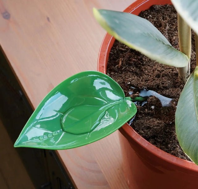 Pflanzen Giesshilfe Laubtrichter 6er Pack von Bubblegum