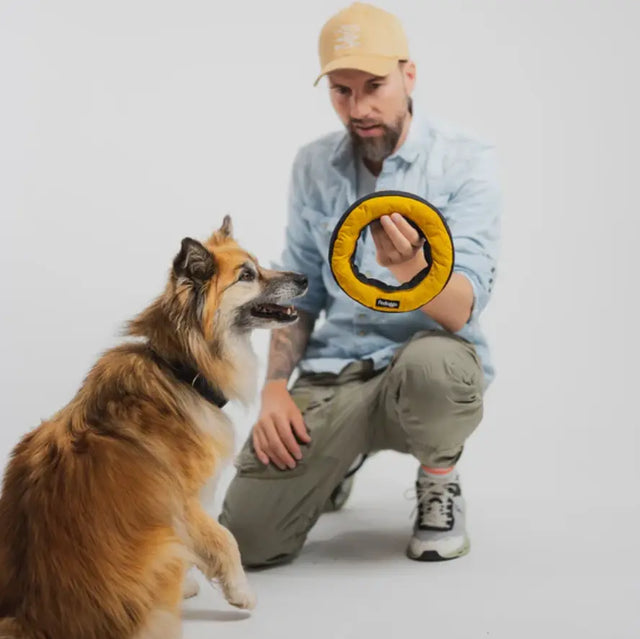 Donut Aktivspielzeug von Redoggo