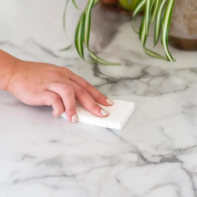 Pflanzenschwämme Plain Jane 3er-Pack von full circle