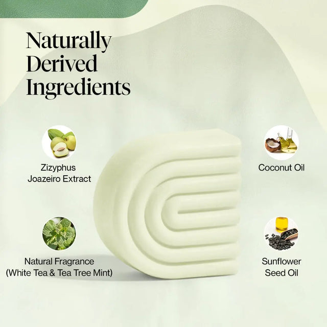 Feste Haarspülung mit Teebaum und Minze von Kitsch