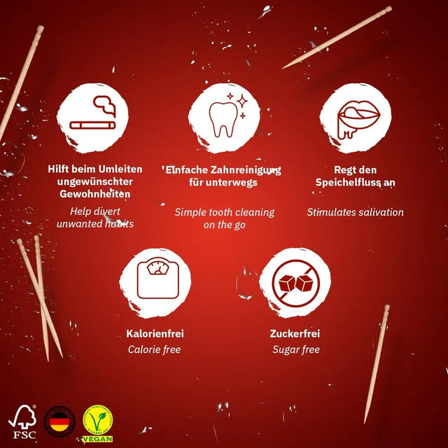 Zahnstocher mit Geschmack in Metalldose Limited Edition Cola von guteszeug.ch