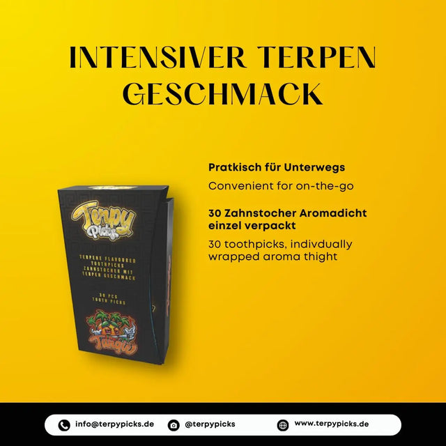 Terpy Picks Zahnstocher mit Geschmack Tangie von Wunder Zahnstocher