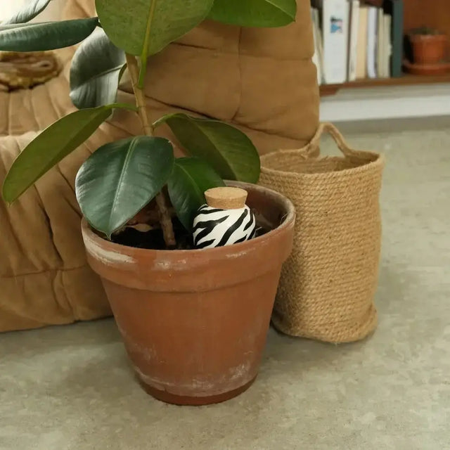 Bewässerungskegel Olla Zebra von Pepin