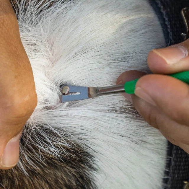 Premium Zeckenentferner Set Edelstahl mit Tasche für Mensch und Tier von Tickcheck