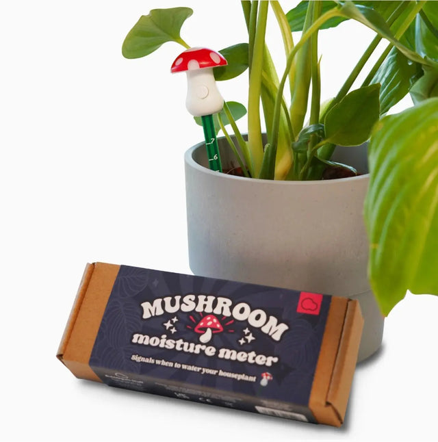Feuchtigkeitsmesser Pilz von Bubblegum