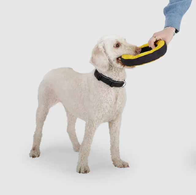 Donut Aktivspielzeug von Redoggo