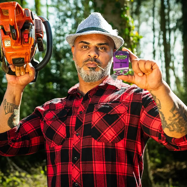 Massiv's Black Lebanese Zahnstocher mit Geschmack Grape Mint von Wunder Zahnstocher