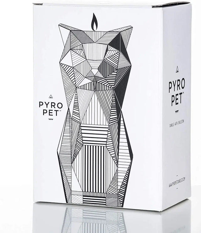 PyroPet Kisa Schwarz von 54Celsius