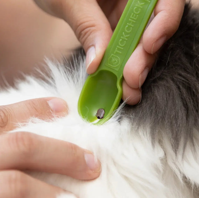 Zeckenentferner Mensch und Tier Löffelset 3er mit Karabiner für Rucksack oder Hund von Tickcheck