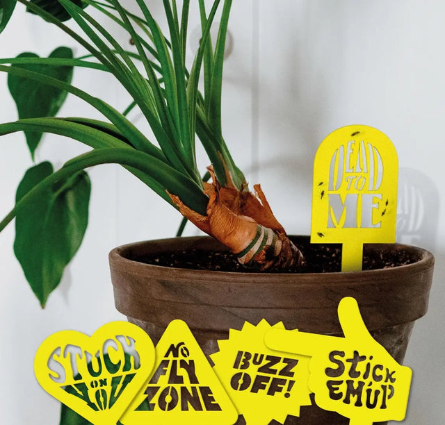 Pflanzen Flugverkehrskontrolle von Bubblegum