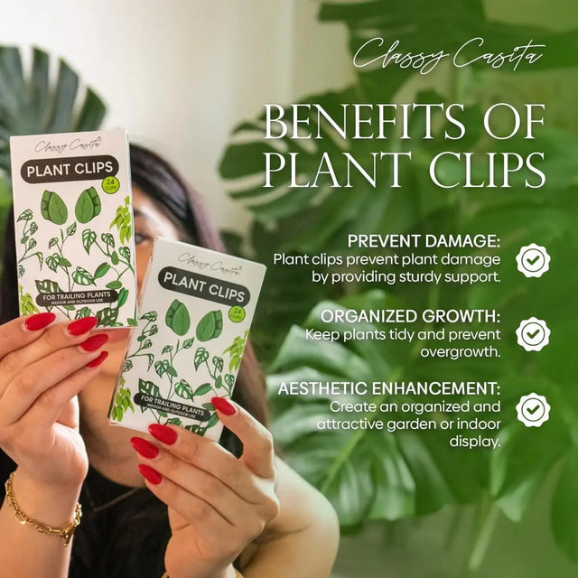 Halterung Clips Kletterpflanzen und Hängepflanzen Vorteilspaket 24 Stk. von Classy Casita