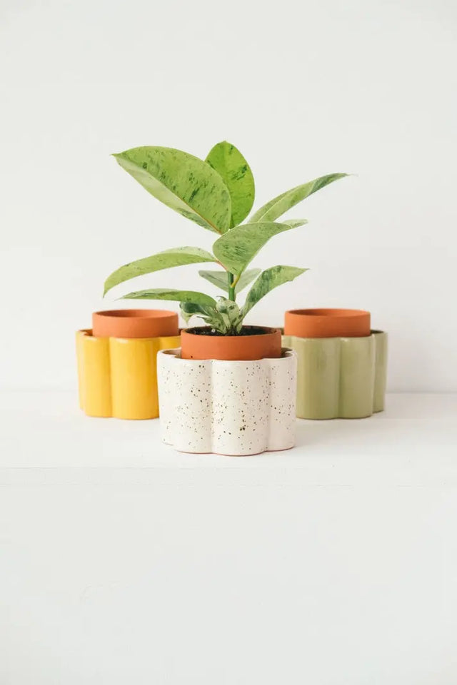 Selbstbewässernder Topf Paula Weiss von Pepin