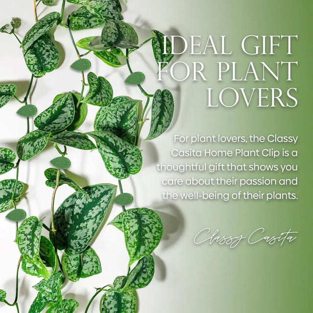 Halterung Clips Kletterpflanzen und Hängepflanzen Vorteilspaket 24 Stk. von Classy Casita