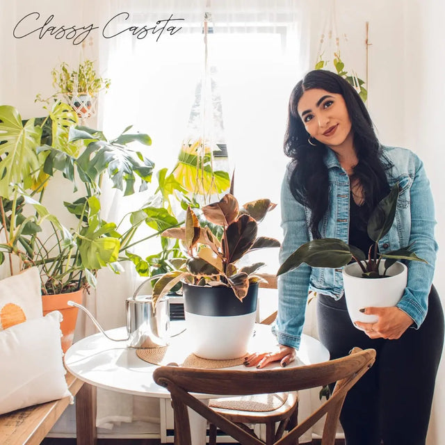 Feuchtigkeitsmessgerät 3 in 1 Für Feuchtigkeit pH-Wert und Lichtintensität von Classy Casita