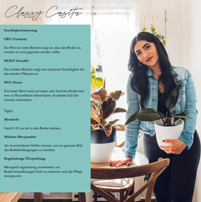 Feuchtigkeitsmesser Gut ablesbar von Classy Casita