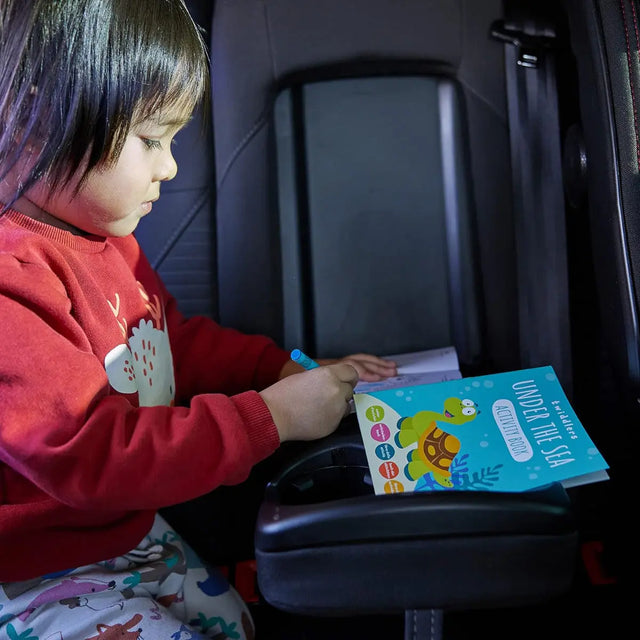 Malbuch Mini Safari, Dinosaurier, Wassertiere 24 Stück von Twiddlers