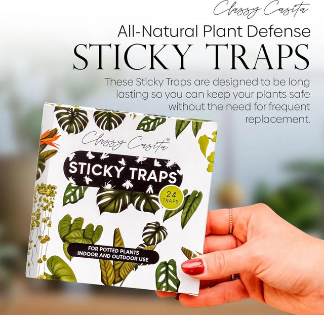 Pflanzen Insektenfalle Klebefallen Vorteilspaket 24 Stk. von Classy Casita